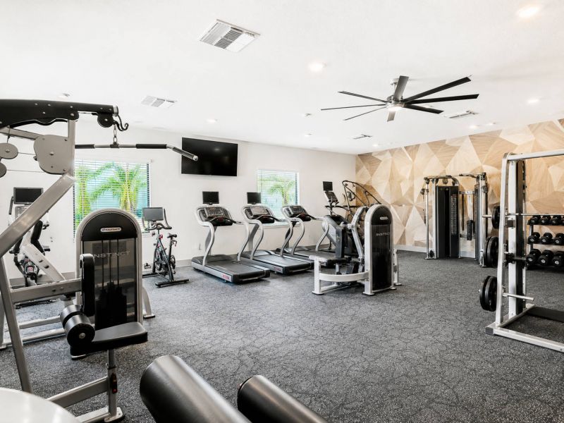 Modern fitness center with cardio machines, strength equipment, free weights, large windows, and a geometric accent wall.